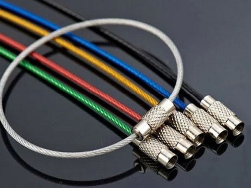 10Pcs-Colorful-EDC-Keychain-Stainless-Steel-Carabiner-Key-Holder-Outdoor-Tools-Wire-Keyrings-Cable-Rope-Screw.jpg